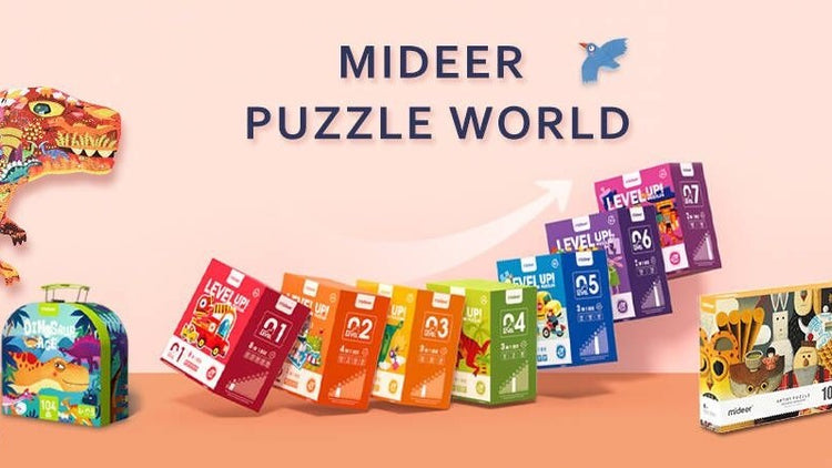 Mideer