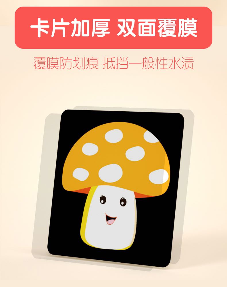 新生儿视觉激发早教闪卡0-3月