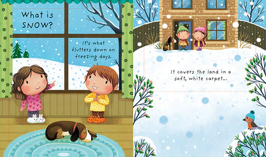 Usborne Lift-the-Flap Very First Questions and Answers What is Snow?
