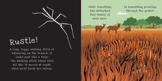 Kane Miller手电筒书 Secrets of Animal Camouflage