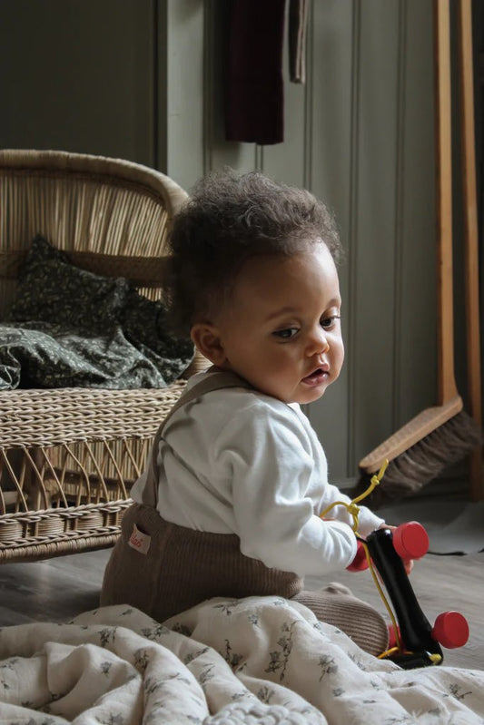 丹麦Silly Silas-Classic Footed Peanut Blend