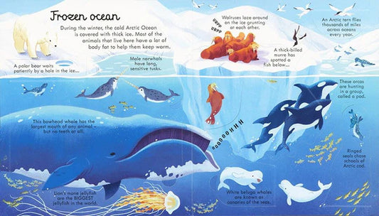 Usborne Look Inside, Seas and Oceans