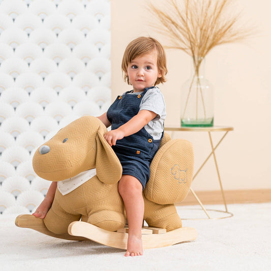 比利时国民品牌Nattou Rocking Toy Dog Charlie