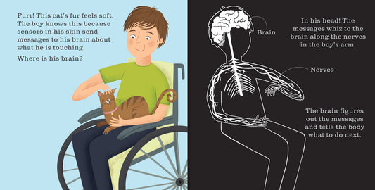 Kane Miller手电筒书 Human Body