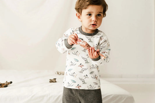 Nest Designs Organic Cotton Two-Piece Long Sleeve PJ Set - Rainbow Swim