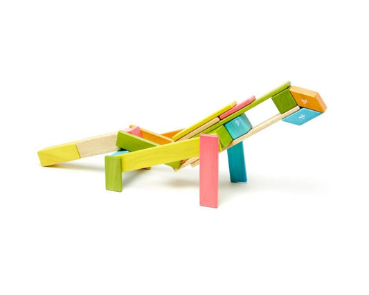 美国木质磁力片Tegu 24-ece Magnetic Wooden Block Set-Tints