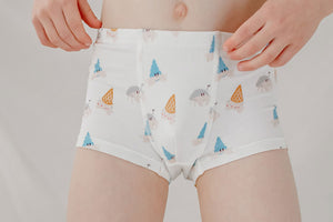 Nest Designs Bamboo Boys Boxer Briefs Underwear (2 Pack) - Hermit Crab