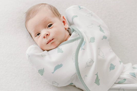 Nest Designs Organic Cotton Startle Stop Sleep Bag 0.5 TOG - Baby Beluga