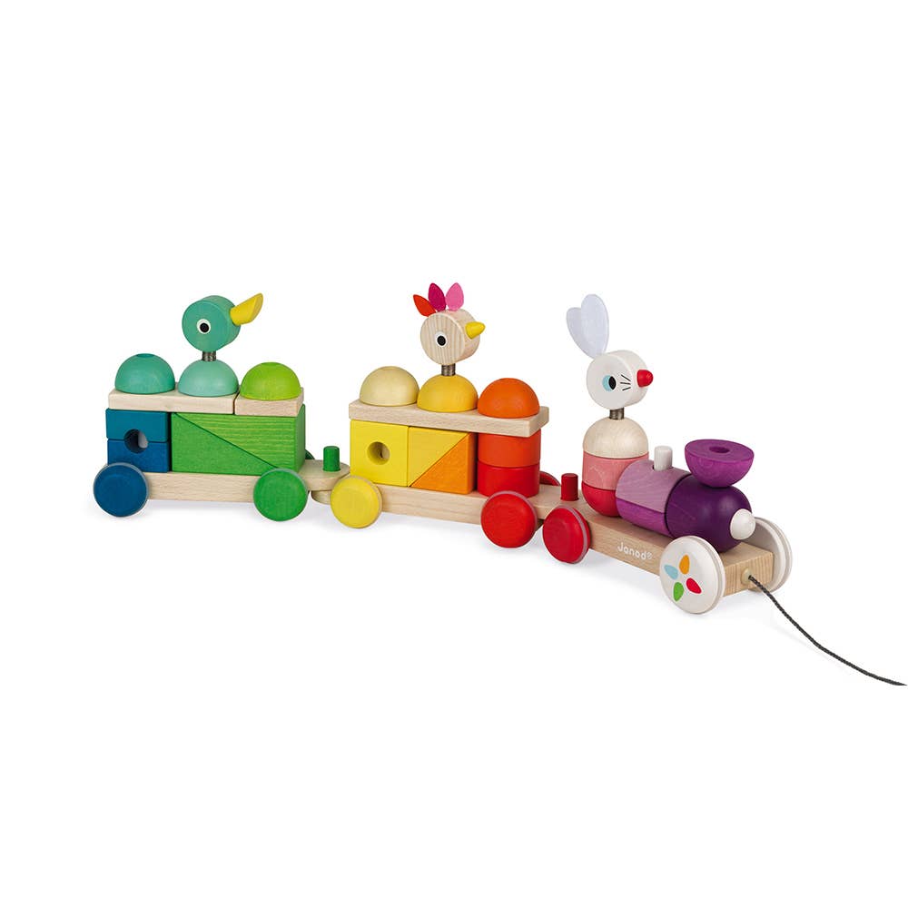 法国Janod Zigolos - Giant Multicolor Train