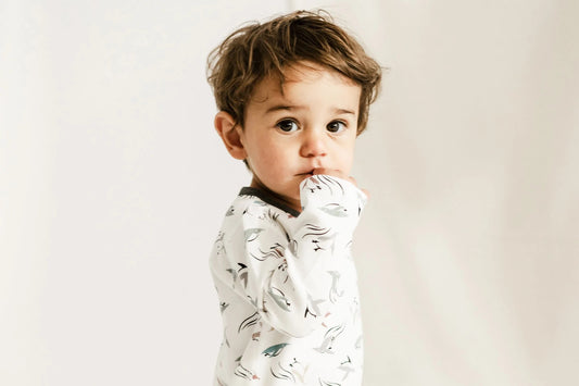 Nest Designs Organic Cotton Long Sleeve Onesie - Rainbow Swim