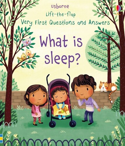 Usborne LIFT THE FLAP VERY FIRST QUESTIONS & ANSWERS: WHAT IS SLEEP?