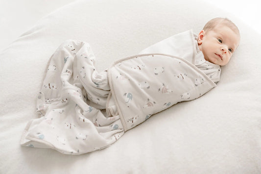 Nest Designs Bamboo Jersey Swaddle Sleep Bag 2.5 TOG - Winter Skate