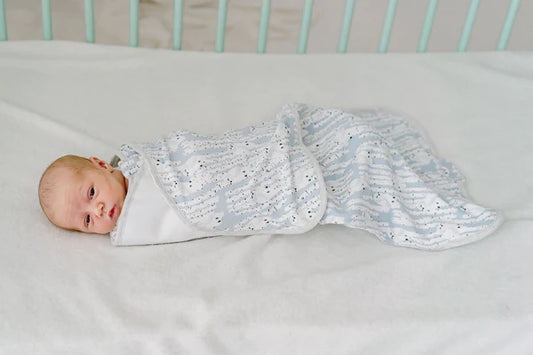 Nest Designs Organic Cotton Swaddle Sleep Bag 1.0 TOG - Hide N Hoot
