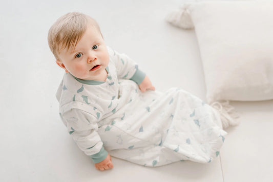 Nest Designs Bamboo Jersey Quilted Sleep Bag 1.0 TOG - Baby Beluga