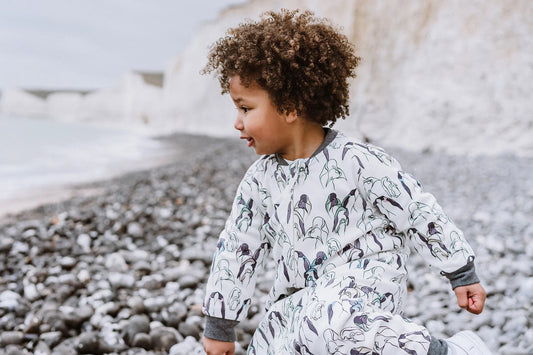 Nest Designs Organic Cotton Long Sleeve Footed Sleep Bag 1.0 TOG - Penguin Love