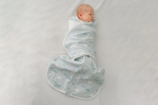 Nest Designs Organic Cotton Swaddle Sleep Bag 1.0 TOG - Beluga Boogie 0-6M