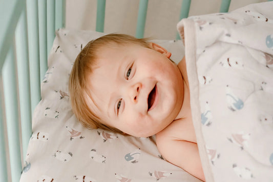 Nest Designs Organic Cotton Toddler Pillow with Pillowcase (Small) - Winter Skate