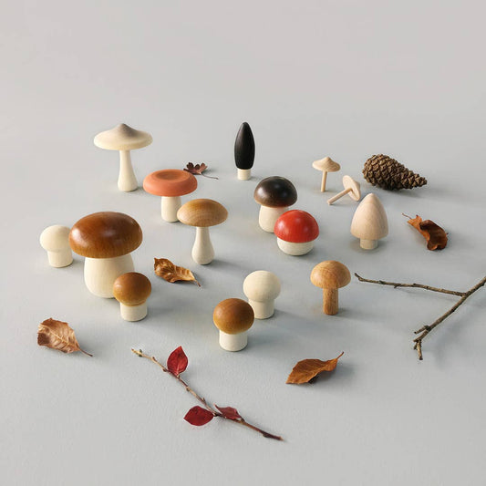 美国Moon Picnic 篮子里的蘑菇们(12个)