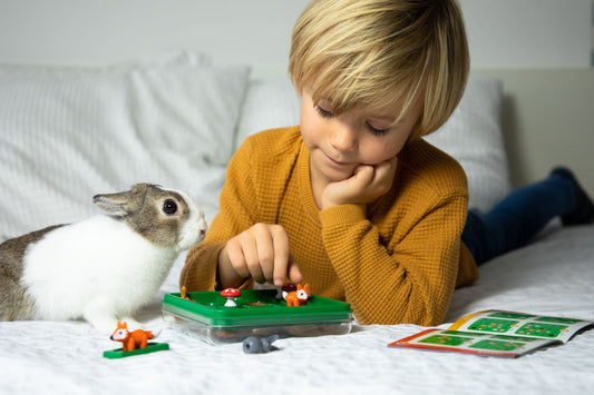 比利时烧脑Smart Games-Jump In'