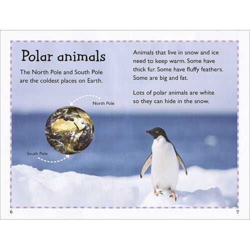 美国Scholastic-Schol Rdr Lvl 1- Polar Animals