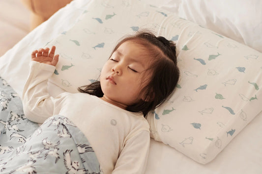 Nest Designs Organic Cotton Toddler Pillow with Pillowcase (Small) - Baby Beluga