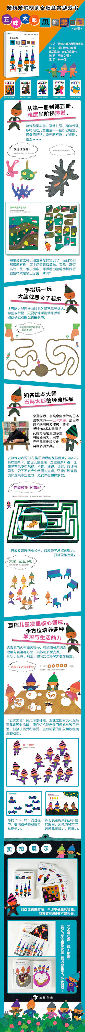 思维游戏书套装全5册-大师绘本