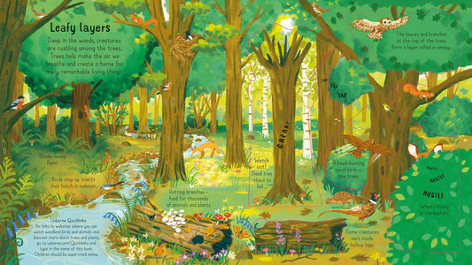 Usborne Look Inside, The Woods