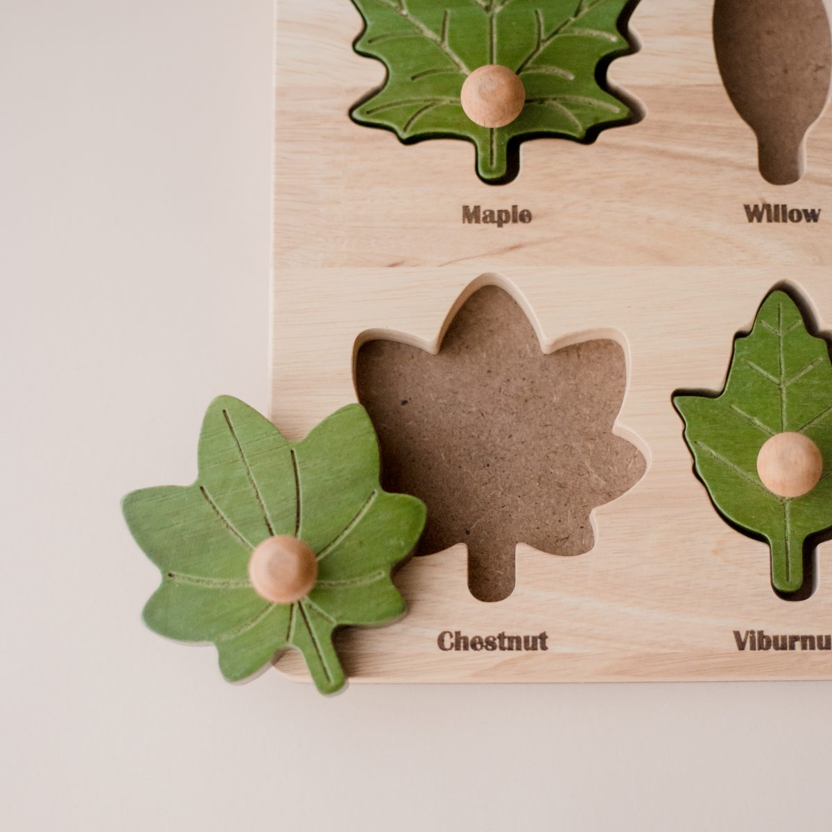 澳洲自然美感QToys Montessori Leaf Puzzle