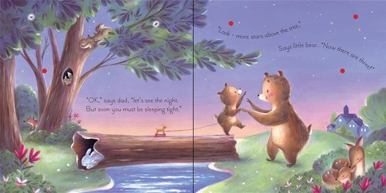 Usborne The Twinkly Twinkly Bedtime Book