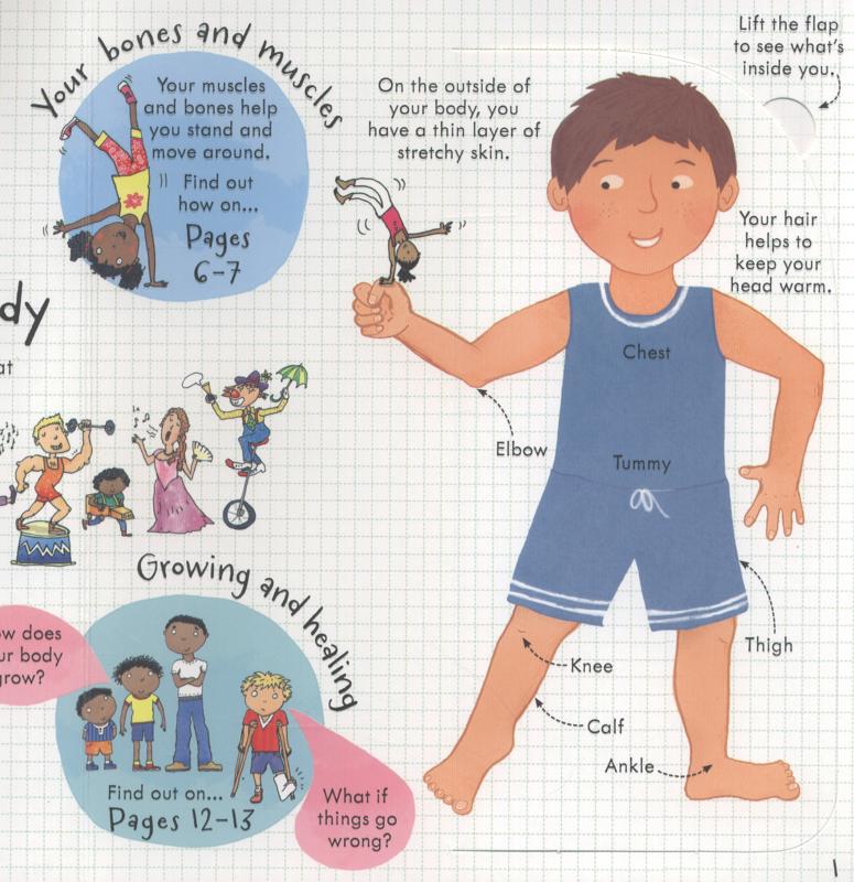 Usborne Look Inside, Your Body