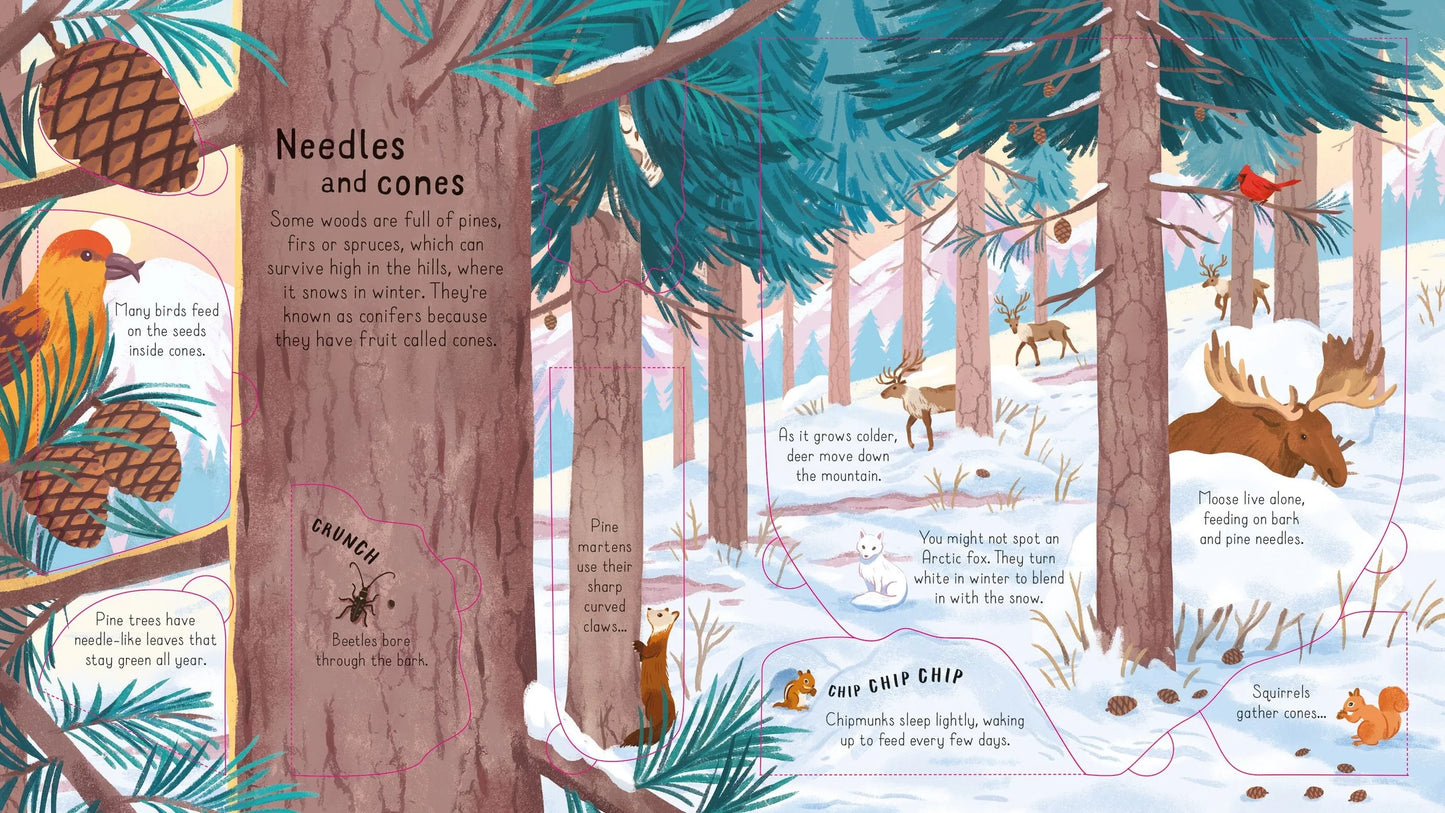Usborne Look Inside, The Woods