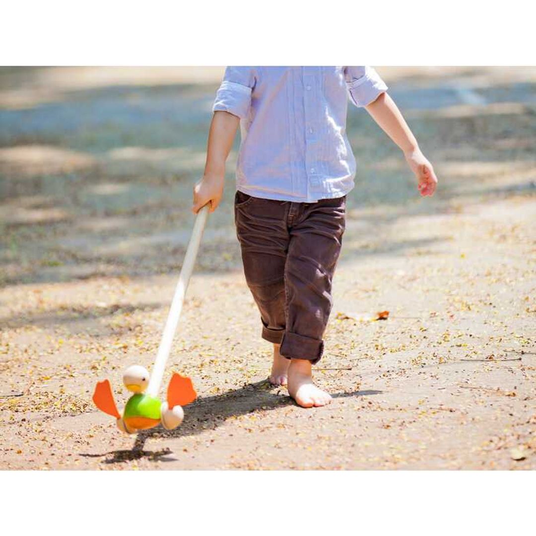 泰国PlanToys Push Along Duck