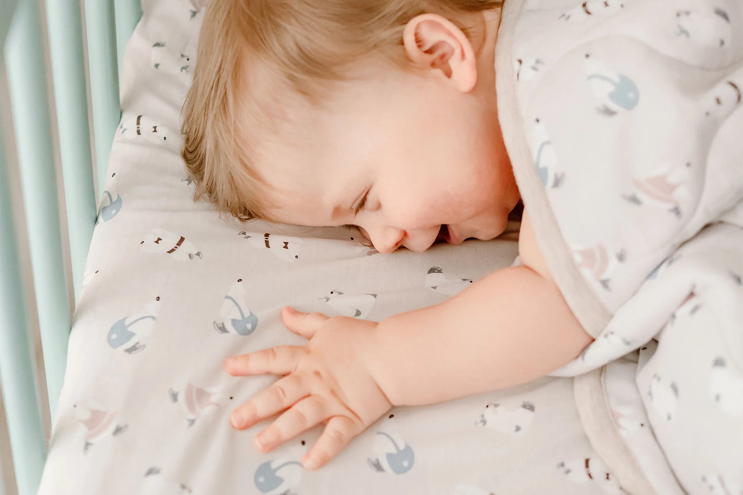 Nest Designs Organic Cotton Toddler Pillow with Pillowcase (Small) - Winter Skate