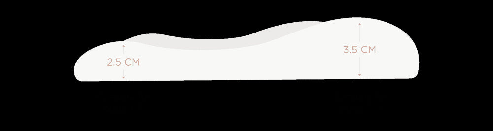 Nest Designs Bamboo Toddler Pillow with Pillowcase (Small) - The Lion and The Mouse - 45X30