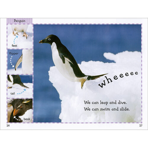 美国Scholastic-Schol Rdr Lvl 1- Polar Animals
