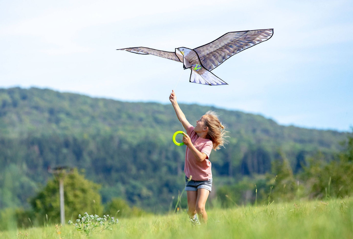 德国儿童大奖Haba Terra Kids Kite