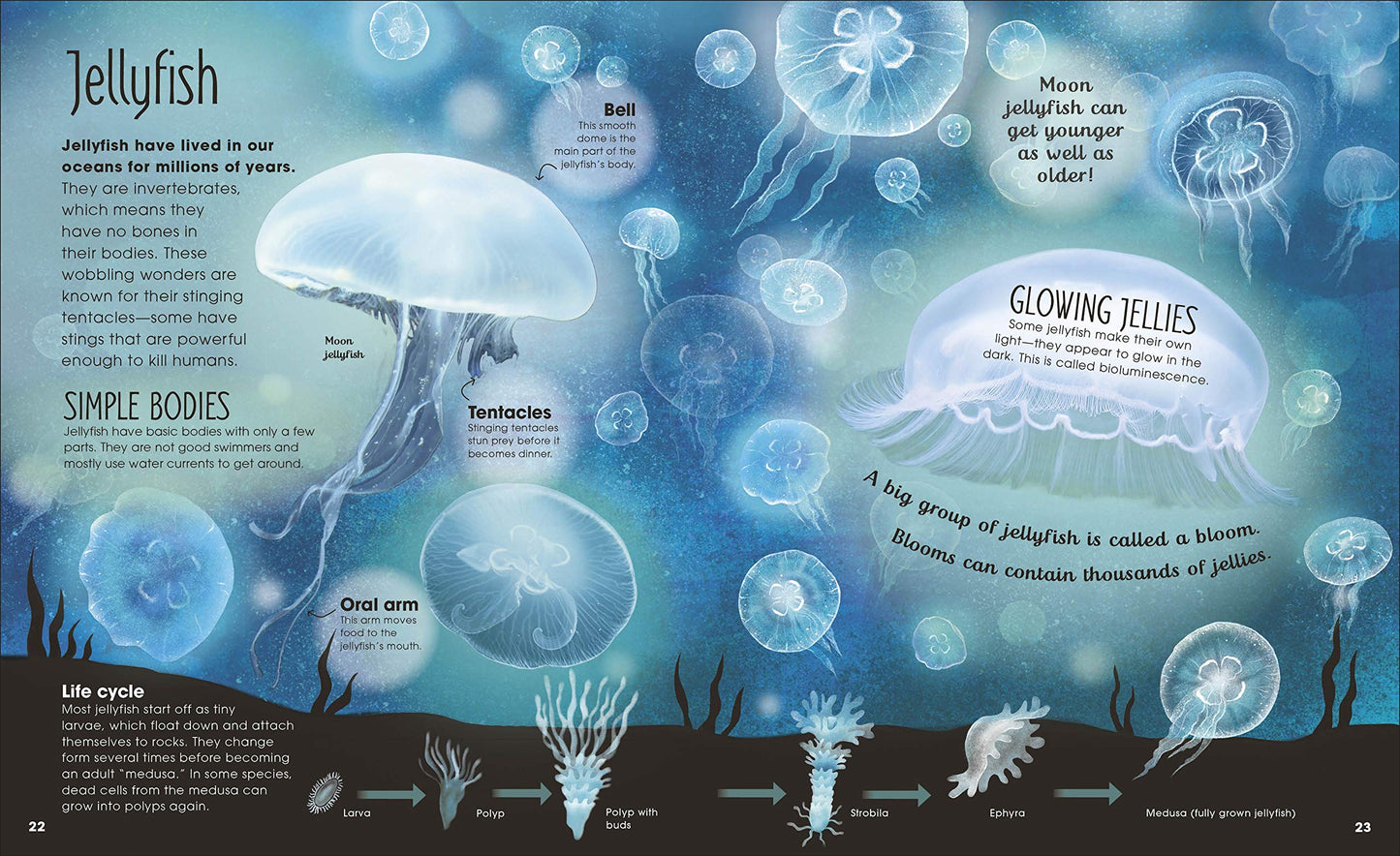 DK Earth's Incredible Oceans