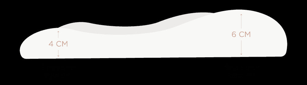 Nest Designs Bamboo Toddler Poplin Pillow with Pillowcase (Medium) - The Tortoise & The Hare - 55X35