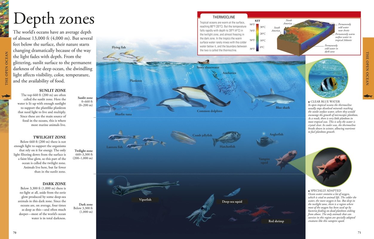 DK Smithsonian Ocean