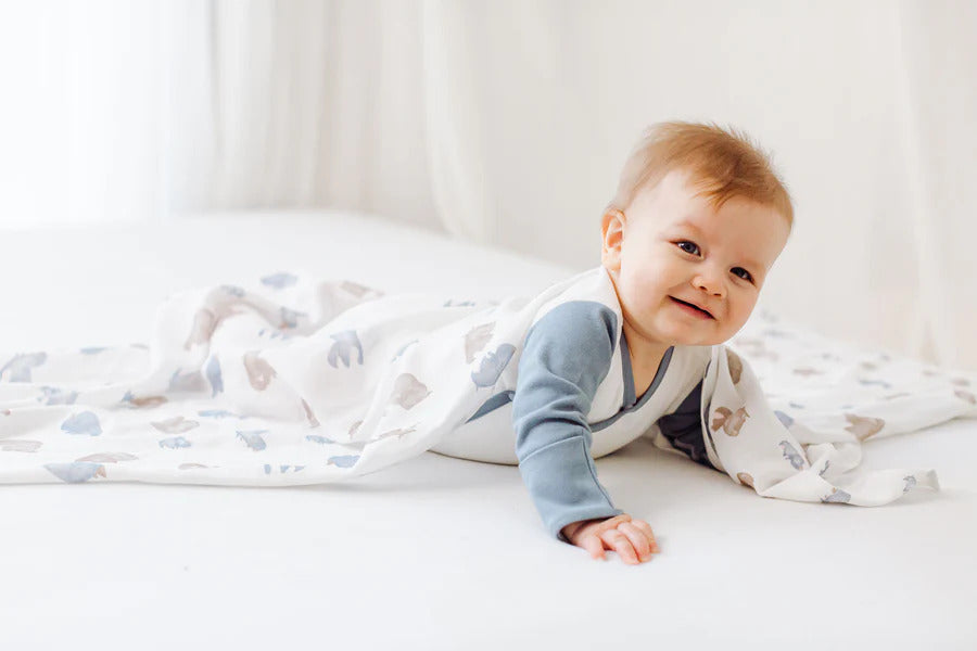 Nest Designs Bamboo Swaddle Blankie (Single) - Rhino Hipppo