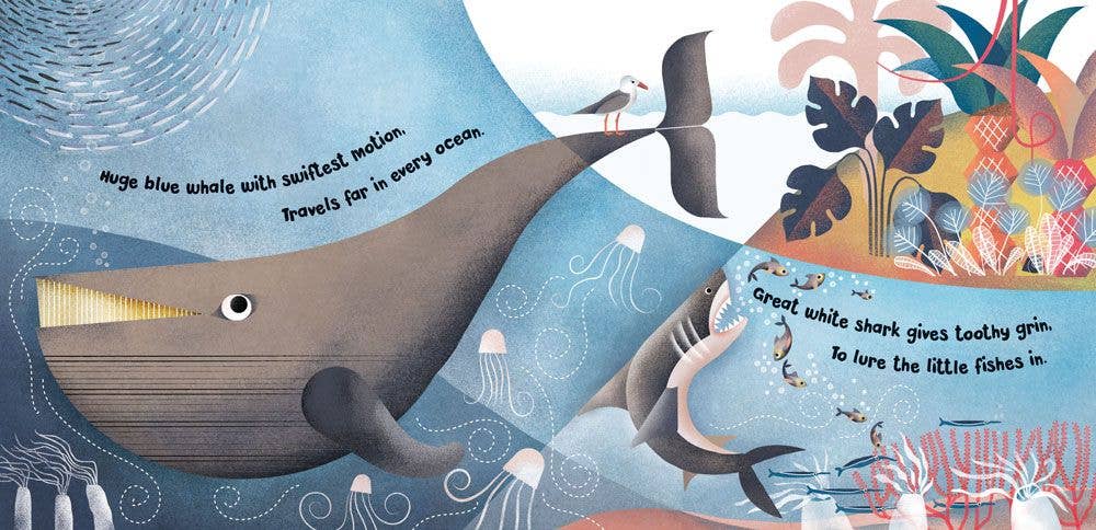 Barefoot Books Home for a Penguin, Home for a Whale