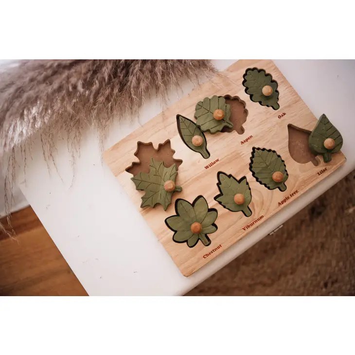 澳洲自然美感QToys Montessori Leaf Puzzle