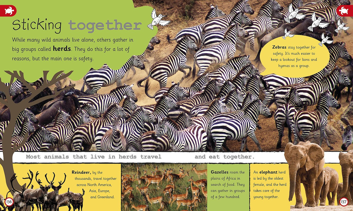 DK My Encyclopedia of Very Important Animals