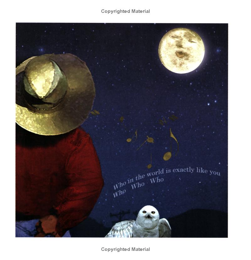 纽约时报畅销绘本On the Night You Were Born