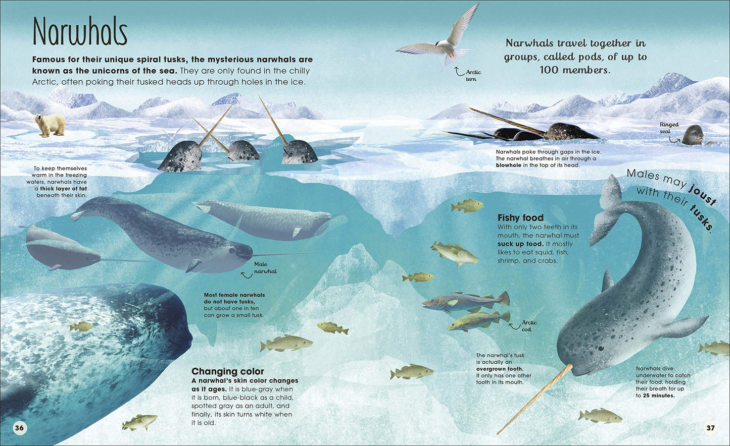 DK Earth's Incredible Oceans