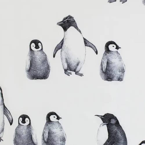 韩国Dono&Dono All Season Blanket-Pengko Friends