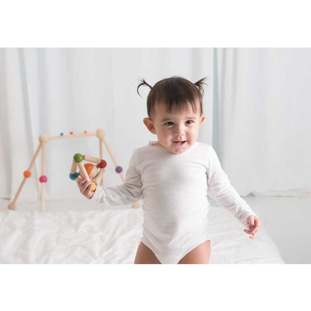 泰国PlanToys Triangle Clutching Toy