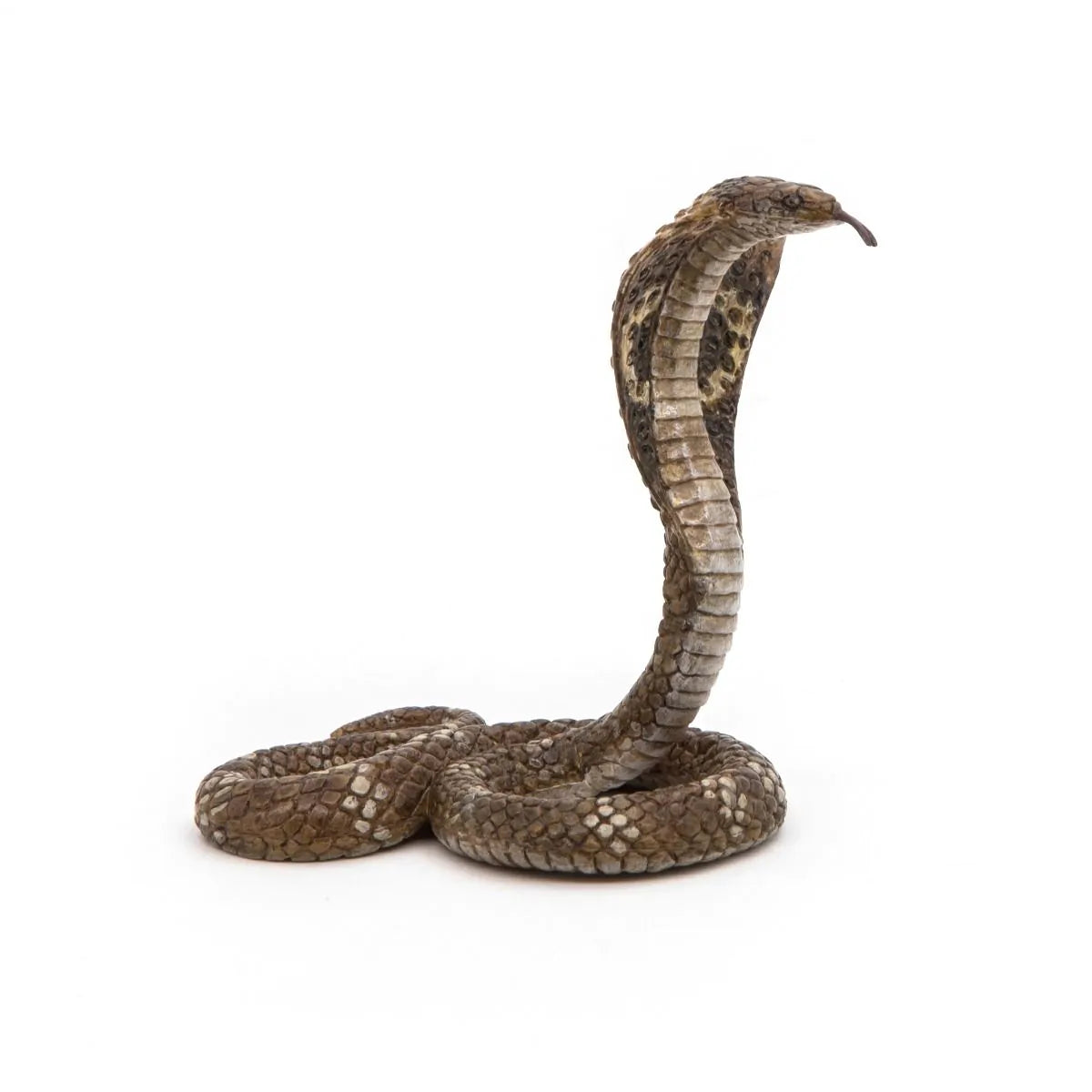 Papo King Cobra