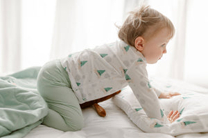 Nest Designs Bamboo Jersey Two-Piece Long Sleeve PJ Set - The Happy Hermit