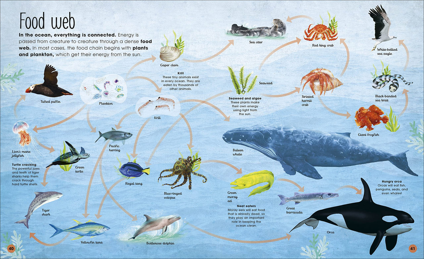 DK Earth's Incredible Oceans
